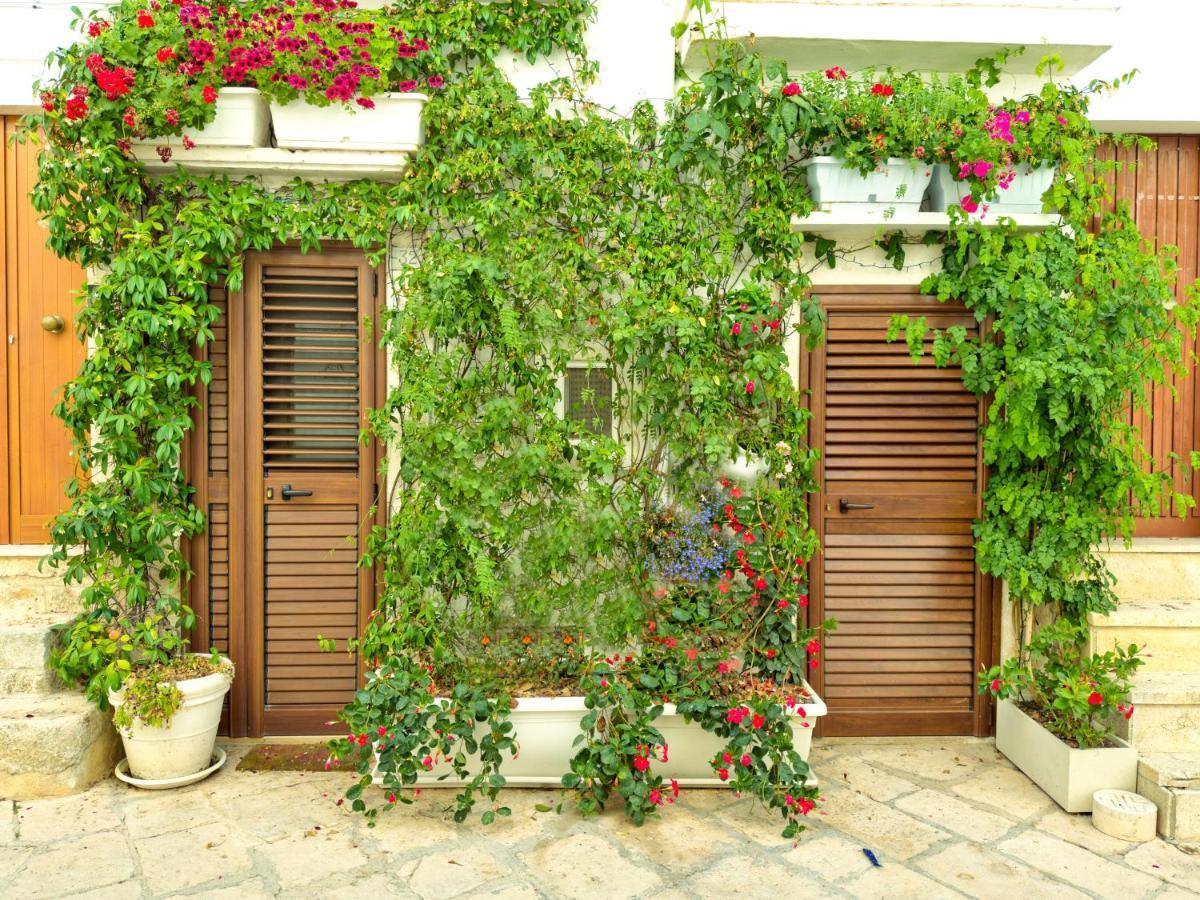 Youse - Your House In Locorotondo Apartment ภายนอก รูปภาพ